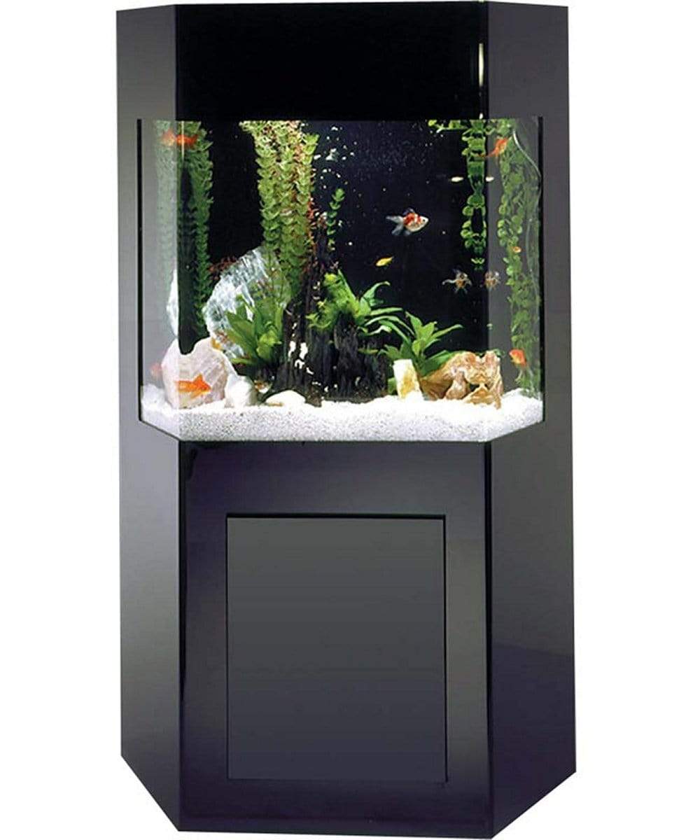 Midwest Tropical Shadow Box AquaCustom Aquarium - 50 Gallon Freshwater Acrylic (SB-1)