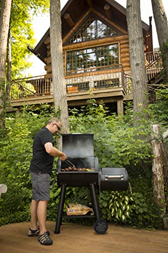 Broil King 955050 Smoke Offset 500 Offset Smoker and Grill, Black