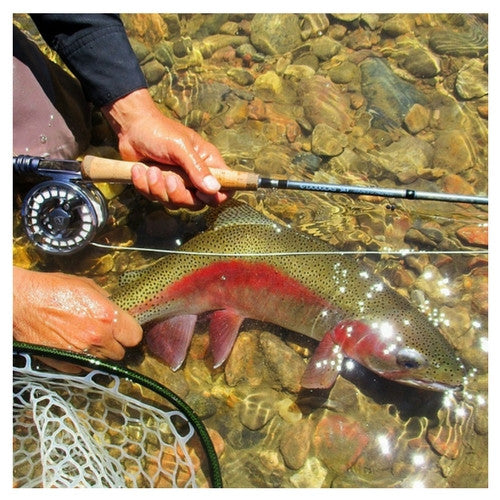 Douglas SKY Series Fly Rod - 2 Weight-12 Weight 4 Piece Fly Rods