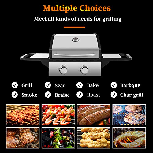 RMYHOME BBQ Liquid Propane Gas Grill Stainless Steel 16,000 BTU Patio Garden Barbecue Grill with Built in Thermometer, Removable Wheels (Two Burners)