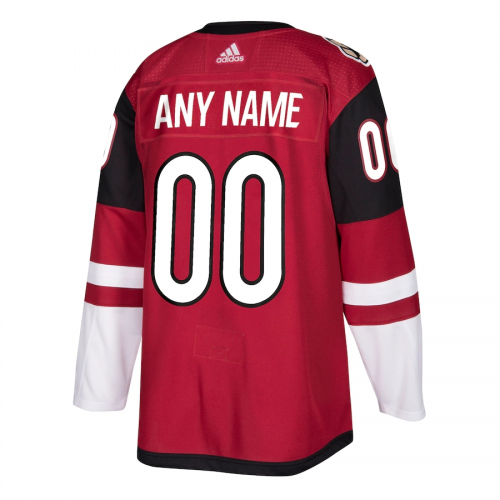 Men Arizona Coyotes Custom NHL Jersey
